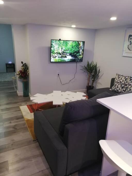 ハミルトンCozy Nest Basement Unitアパートメント エクステリア 写真