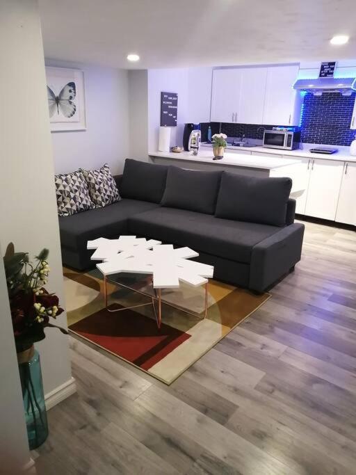 ハミルトンCozy Nest Basement Unitアパートメント エクステリア 写真