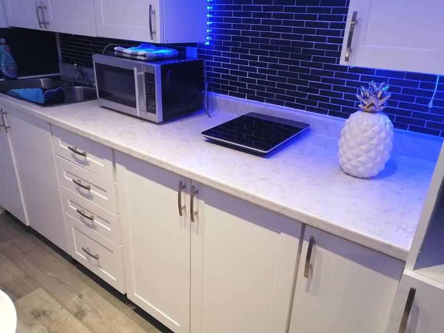 ハミルトンCozy Nest Basement Unitアパートメント エクステリア 写真